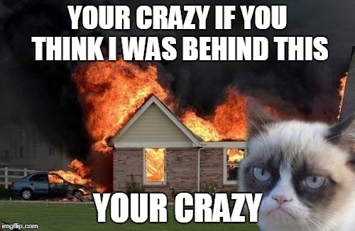 Burn Kitty | YOUR CRAZY IF YOU THINK I WAS BEHIND THIS; YOUR CRAZY | image tagged in memes,burn kitty,grumpy cat | made w/ Imgflip meme maker