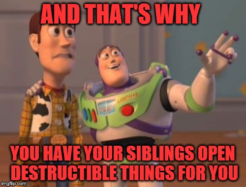 X, X Everywhere Meme | AND THAT'S WHY YOU HAVE YOUR SIBLINGS OPEN DESTRUCTIBLE THINGS FOR YOU | image tagged in memes,x x everywhere | made w/ Imgflip meme maker
