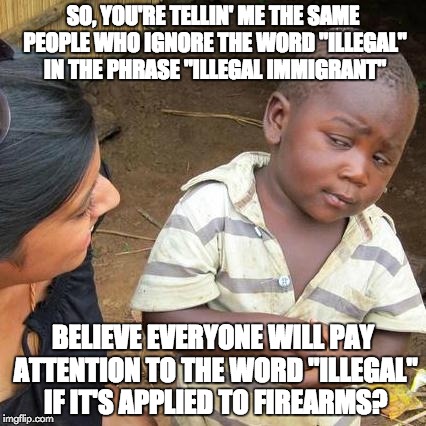 Somebody help me here... | SO, YOU'RE TELLIN' ME THE SAME PEOPLE WHO IGNORE THE WORD "ILLEGAL" IN THE PHRASE "ILLEGAL IMMIGRANT"; BELIEVE EVERYONE WILL PAY ATTENTION TO THE WORD "ILLEGAL" IF IT'S APPLIED TO FIREARMS? | image tagged in memes,third world skeptical kid | made w/ Imgflip meme maker