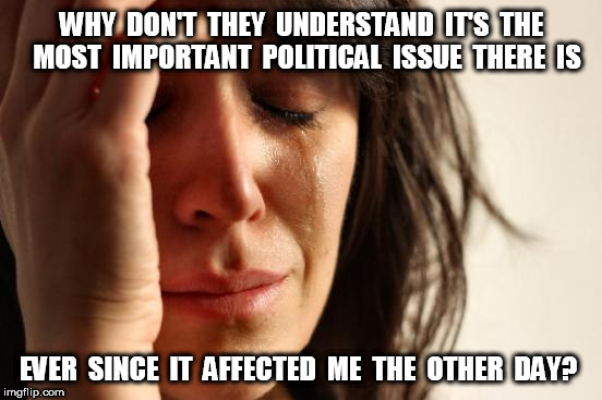 First World Problems Political Issue | WHY  DON'T  THEY  UNDERSTAND  IT'S  THE  MOST  IMPORTANT  POLITICAL  ISSUE  THERE  IS; EVER  SINCE  IT  AFFECTED  ME  THE  OTHER  DAY? | image tagged in memes,first world problems | made w/ Imgflip meme maker