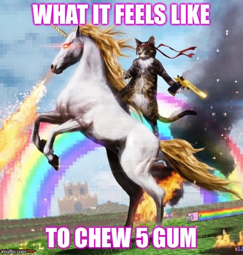 Welcome To The Internets Meme | WHAT IT FEELS LIKE; TO CHEW 5 GUM | image tagged in memes,welcome to the internets | made w/ Imgflip meme maker