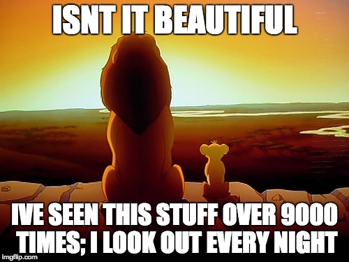 Lion King | ISNT IT BEAUTIFUL; IVE SEEN THIS STUFF OVER 9000 TIMES; I LOOK OUT EVERY NIGHT | image tagged in memes,lion king | made w/ Imgflip meme maker