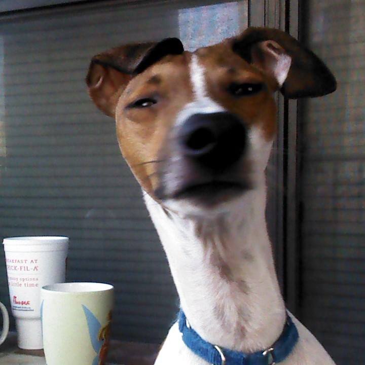 Snoop Dog Blank Meme Template