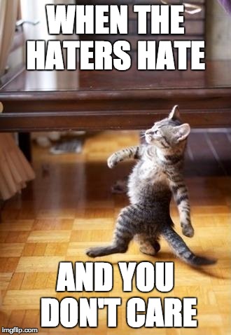 Cool Cat Stroll | WHEN THE HATERS HATE; AND YOU DON'T CARE | image tagged in memes,cool cat stroll | made w/ Imgflip meme maker
