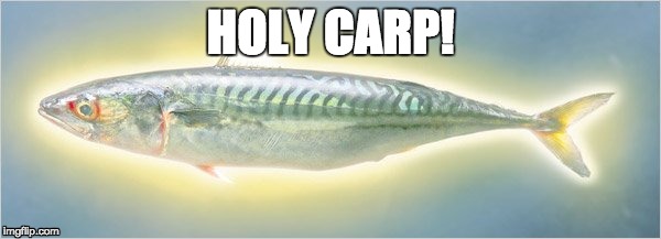 This seems a little fishy... | HOLY CARP! | image tagged in fish | made w/ Imgflip meme maker