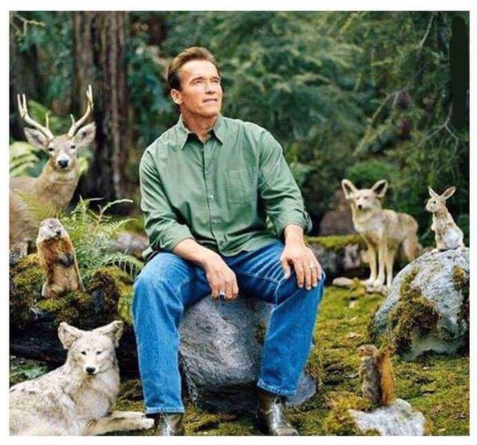High Quality Arnold Wildlife Blank Meme Template