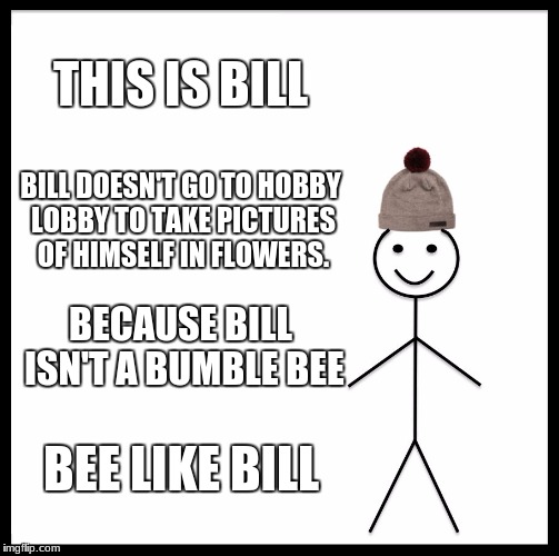 Be Like Bill | THIS IS BILL; BILL DOESN'T GO TO HOBBY LOBBY TO TAKE PICTURES OF HIMSELF IN FLOWERS. BECAUSE BILL ISN'T A BUMBLE BEE; BEE LIKE BILL | image tagged in memes,be like bill | made w/ Imgflip meme maker