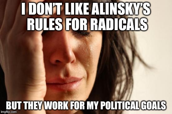 Oh the angst of an alliance with vulgarity | I DON’T LIKE ALINSKY’S RULES FOR RADICALS; BUT THEY WORK FOR MY POLITICAL GOALS | image tagged in memes,first world problems,alinskys rules for radicals,leftists | made w/ Imgflip meme maker