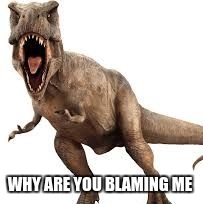 mad t-rex | WHY ARE YOU BLAMING ME | image tagged in mad t-rex | made w/ Imgflip meme maker