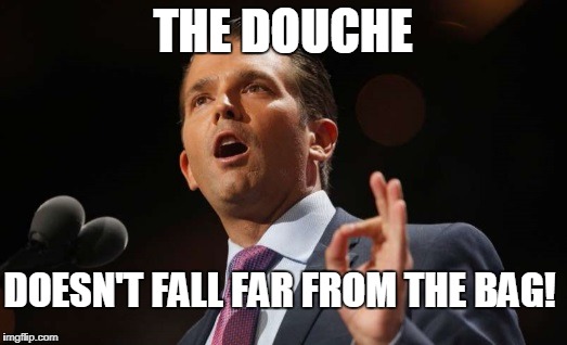 Donald Trump Jr. | THE DOUCHE; DOESN'T FALL FAR FROM THE BAG! | image tagged in donald trump jr | made w/ Imgflip meme maker