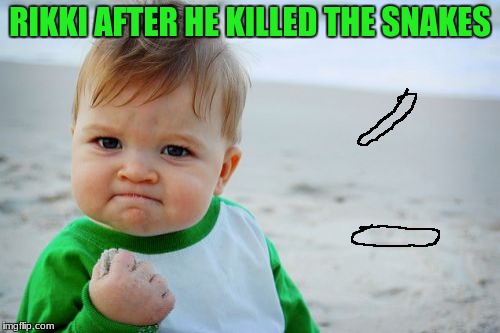 Success Kid Original Meme | RIKKI AFTER HE KILLED THE SNAKES | image tagged in memes,success kid original | made w/ Imgflip meme maker