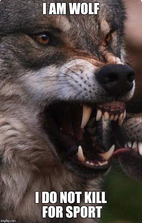 I AM WOLF; I DO NOT KILL FOR SPORT | made w/ Imgflip meme maker