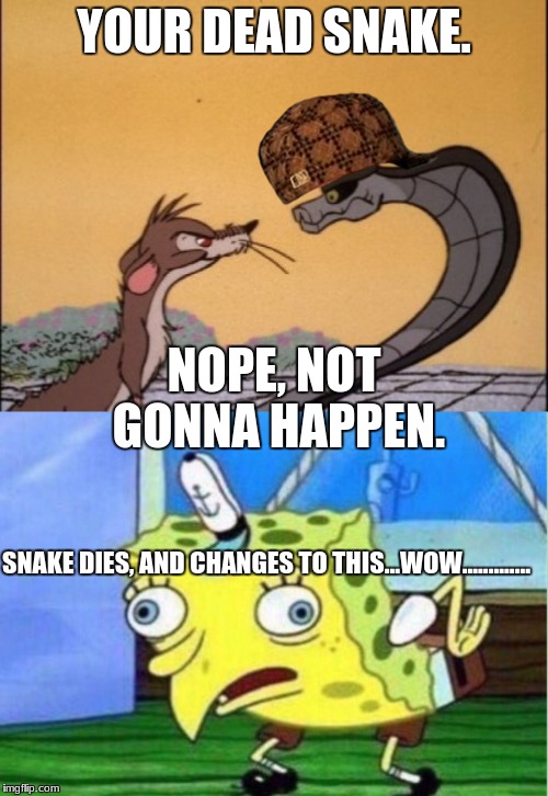 good luck snake. | YOUR DEAD SNAKE. NOPE, NOT GONNA HAPPEN. SNAKE DIES, AND CHANGES TO THIS...WOW............. | image tagged in funny memes | made w/ Imgflip meme maker