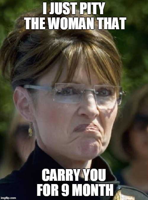 sarah palin frown | I JUST PITY THE WOMAN THAT; CARRY YOU FOR 9 MONTH | image tagged in sarah palin frown | made w/ Imgflip meme maker