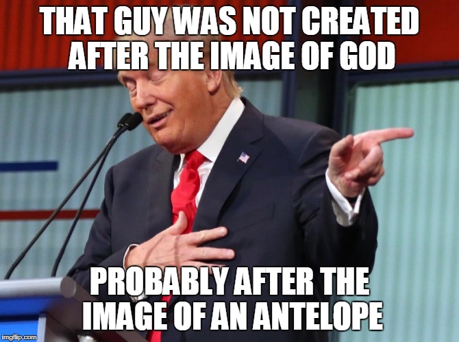 Trump Pointing Away | THAT GUY WAS NOT CREATED AFTER THE IMAGE OF GOD; PROBABLY AFTER THE IMAGE OF AN ANTELOPE | image tagged in trump pointing away | made w/ Imgflip meme maker
