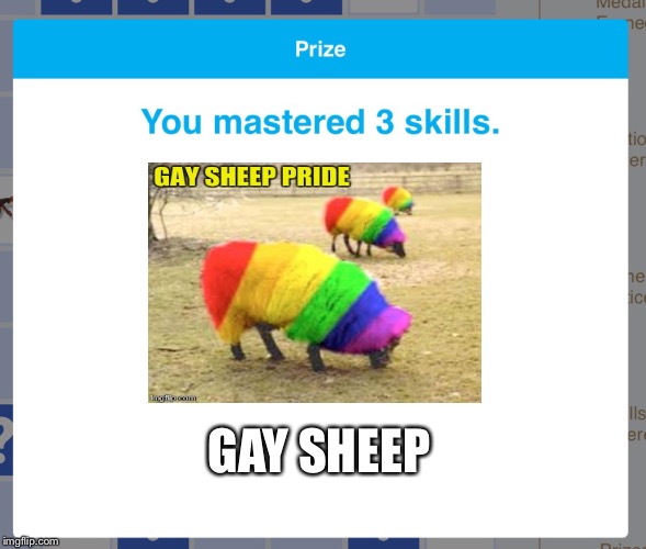 Prize IXL | GAY SHEEP | image tagged in prize ixl,gay,memes | made w/ Imgflip meme maker