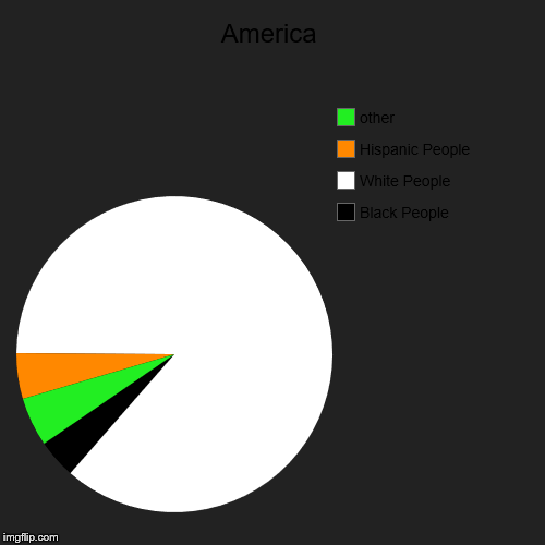 America | Black People, White People, Hispanic People, other | image tagged in funny,pie charts | made w/ Imgflip chart maker