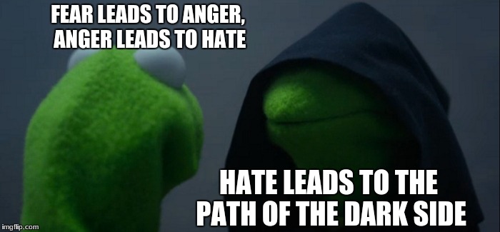 Evil Kermit Meme | FEAR LEADS TO ANGER, ANGER LEADS TO HATE; HATE LEADS TO THE PATH OF THE DARK SIDE | image tagged in memes,evil kermit | made w/ Imgflip meme maker