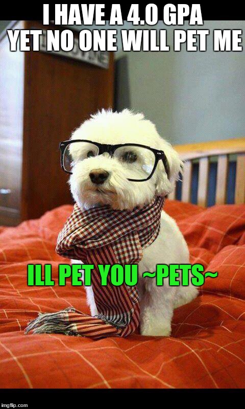 Intelligent Dog | I HAVE A 4.0 GPA YET NO ONE WILL PET ME; ILL PET YOU ~PETS~ | image tagged in memes,intelligent dog | made w/ Imgflip meme maker