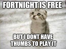 Sad Cat Meme | FORTNIGHT IS FREE; BUT I DONT HAVE THUMBS TO PLAY IT | image tagged in memes,sad cat | made w/ Imgflip meme maker
