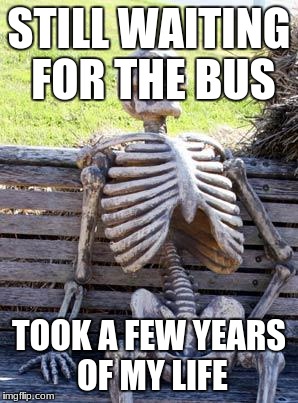 Waiting Skeleton Meme | STILL WAITING FOR THE BUS; TOOK A FEW YEARS OF MY LIFE | image tagged in memes,waiting skeleton | made w/ Imgflip meme maker