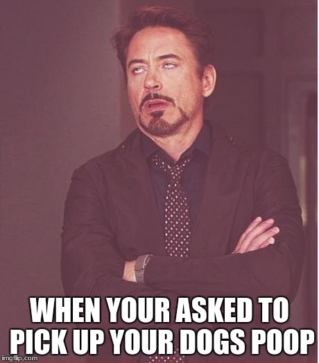 Face You Make Robert Downey Jr | WHEN YOUR ASKED TO PICK UP YOUR DOGS POOP | image tagged in memes,face you make robert downey jr | made w/ Imgflip meme maker