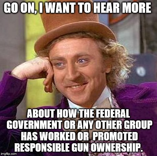 Creepy Condescending Wonka Meme | GO ON, I WANT TO HEAR MORE ABOUT HOW THE FEDERAL GOVERNMENT OR ANY OTHER GROUP HAS WORKED OR  PROMOTED RESPONSIBLE GUN OWNERSHIP. | image tagged in memes,creepy condescending wonka | made w/ Imgflip meme maker