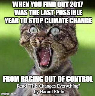 Decade Zero | WHEN YOU FIND OUT 2017 WAS THE LAST POSSIBLE YEAR TO STOP CLIMATE CHANGE; FROM RAGING OUT OF CONTROL; Read "This Changes Everything" by Naomi Klein | image tagged in climate change,activism,end of the world,green,please help me | made w/ Imgflip meme maker