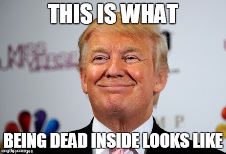 Donald trump approves | THIS IS WHAT; BEING DEAD INSIDE LOOKS LIKE | image tagged in donald trump approves | made w/ Imgflip meme maker