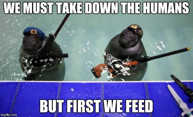 Russian navy seals | WE MUST TAKE DOWN THE HUMANS; BUT FIRST WE FEED | image tagged in russian navy seals | made w/ Imgflip meme maker