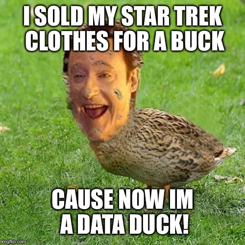 The Data Duck | I SOLD MY STAR TREK CLOTHES FOR A BUCK; CAUSE NOW IM A DATA DUCK! | image tagged in the data ducky,star trek memes,wars of the bones,wipe the great finish,stupid mccain,meme | made w/ Imgflip meme maker