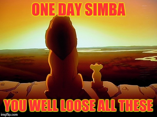 Lion King | ONE DAY SIMBA; YOU WELL LOOSE ALL THESE | image tagged in memes,lion king | made w/ Imgflip meme maker