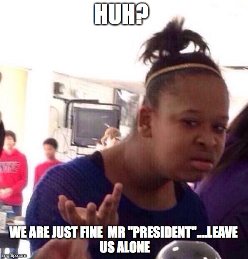 Black Girl Wat Meme | HUH? WE ARE JUST FINE  MR "PRESIDENT"....LEAVE US ALONE | image tagged in memes,black girl wat | made w/ Imgflip meme maker