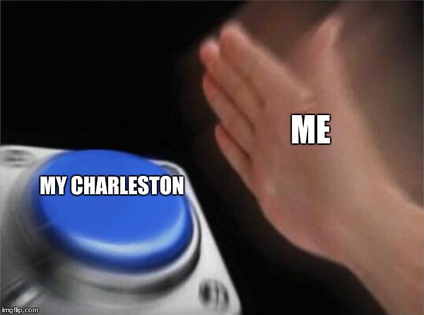 idk | ME; MY CHARLESTON | image tagged in memes,my life | made w/ Imgflip meme maker