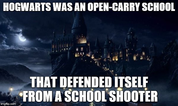 Hogwarts | HOGWARTS WAS AN OPEN-CARRY SCHOOL; THAT DEFENDED ITSELF FROM A SCHOOL SHOOTER | image tagged in hogwarts | made w/ Imgflip meme maker