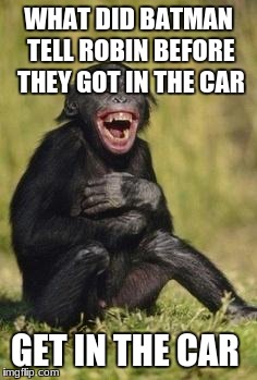Laughing monkey | WHAT DID BATMAN TELL ROBIN BEFORE THEY GOT IN THE CAR; GET IN THE CAR | image tagged in laughing monkey | made w/ Imgflip meme maker