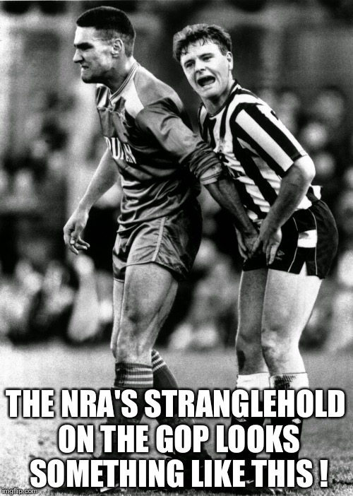 Stranglehold | THE NRA'S STRANGLEHOLD ON THE GOP LOOKS SOMETHING LIKE THIS ! | image tagged in nra-gop | made w/ Imgflip meme maker
