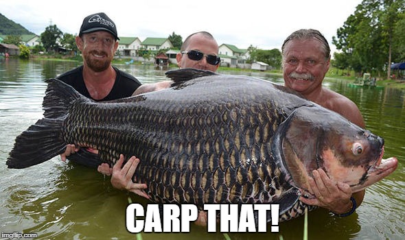 CARP THAT! | made w/ Imgflip meme maker