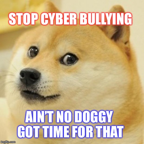 Doge Meme | STOP CYBER BULLYING; AIN’T NO DOGGY GOT TIME FOR THAT | image tagged in memes,doge | made w/ Imgflip meme maker