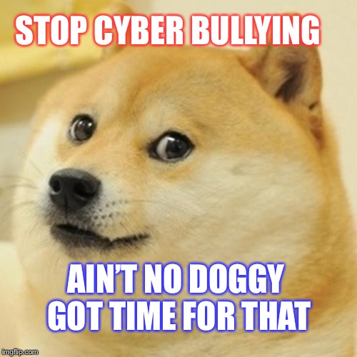 Doge Meme | STOP CYBER BULLYING; AIN’T NO DOGGY GOT TIME FOR THAT | image tagged in memes,doge | made w/ Imgflip meme maker