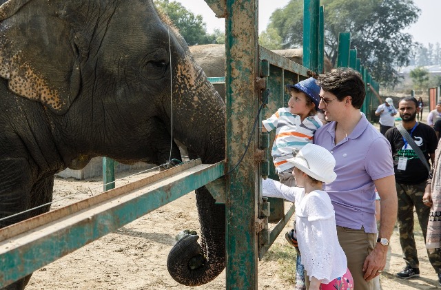 High Quality Justin Trudeau Blank Meme Template