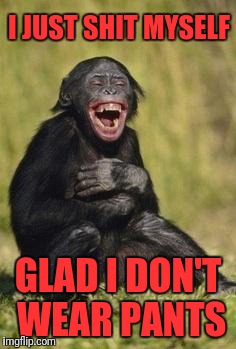 Laughing monkey | I JUST SHIT MYSELF; GLAD I DON'T WEAR PANTS | image tagged in laughing monkey | made w/ Imgflip meme maker
