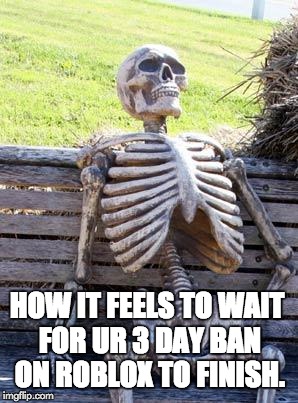 Waiting Skeleton Meme | HOW IT FEELS TO WAIT FOR UR 3 DAY BAN ON ROBLOX TO FINISH. | image tagged in memes,waiting skeleton | made w/ Imgflip meme maker