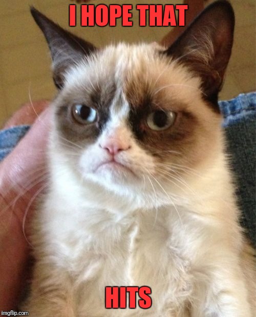 Grumpy Cat Meme | I HOPE THAT HITS | image tagged in memes,grumpy cat | made w/ Imgflip meme maker
