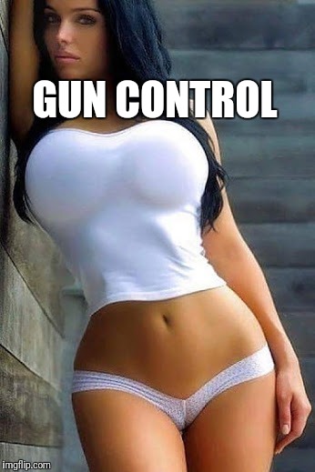 Debate | GUN CONTROL | image tagged in pussboobs | made w/ Imgflip meme maker