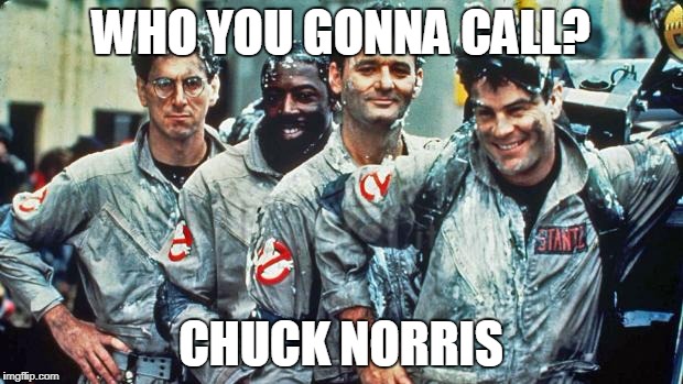 Chuck Norris Ghostbusters | WHO YOU GONNA CALL? CHUCK NORRIS | image tagged in ghostbusters,chuck norris,memes | made w/ Imgflip meme maker