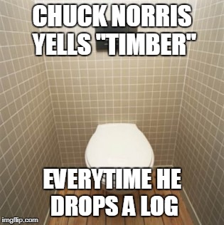 Chuck Norris Yells Timber | CHUCK NORRIS YELLS "TIMBER"; EVERYTIME HE DROPS A LOG | image tagged in chuck norris,timber,memes,toilet | made w/ Imgflip meme maker