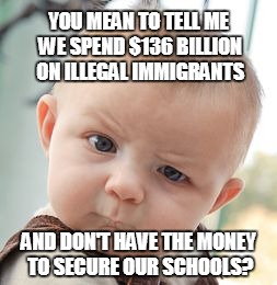 uh-huh... | YOU MEAN TO TELL ME WE SPEND $136 BILLION ON ILLEGAL IMMIGRANTS; AND DON'T HAVE THE MONEY TO SECURE OUR SCHOOLS? | image tagged in skeptical baby,anti gun control,illegal immigration | made w/ Imgflip meme maker
