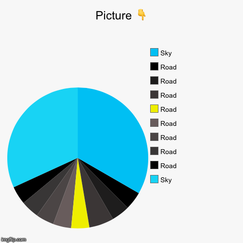 Picture  | image tagged in funny,pie charts | made w/ Imgflip chart maker