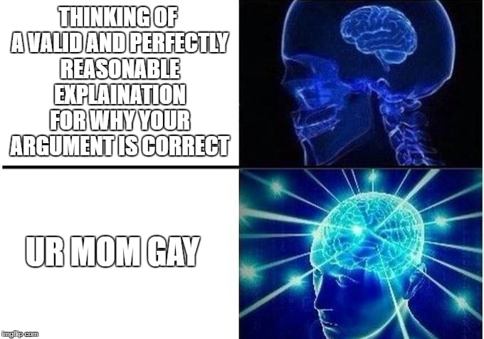 lol no u | THINKING OF A VALID AND PERFECTLY REASONABLE EXPLAINATION FOR WHY YOUR ARGUMENT IS CORRECT; UR MOM GAY | image tagged in expanding brain two frames,expanding brain,ur mom gay,memes | made w/ Imgflip meme maker
